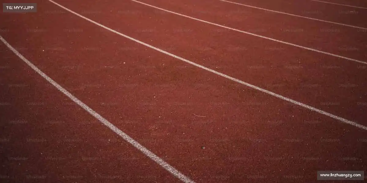 为什么选择我们